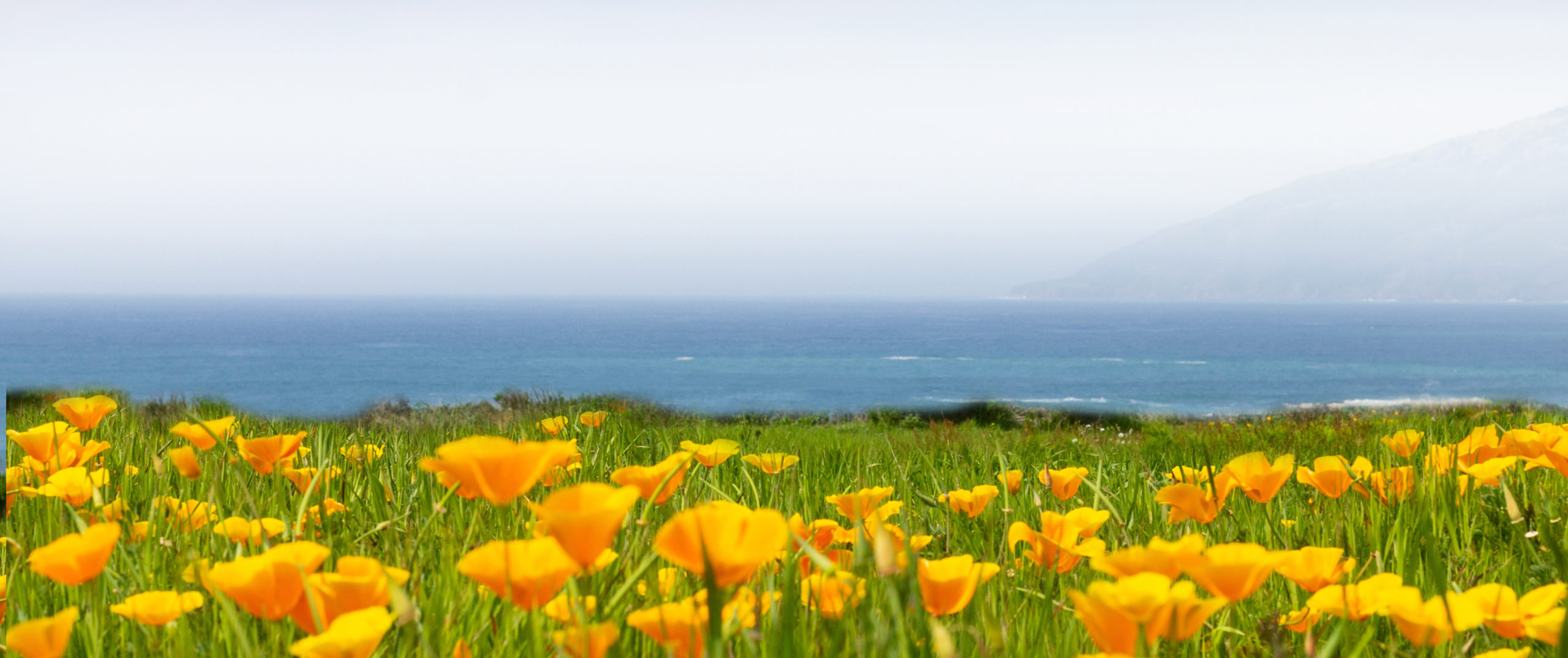 mission-vision-values-american-planning-association-california-chapter